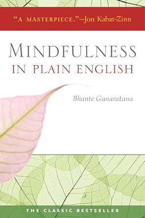 mindfulness in plain english